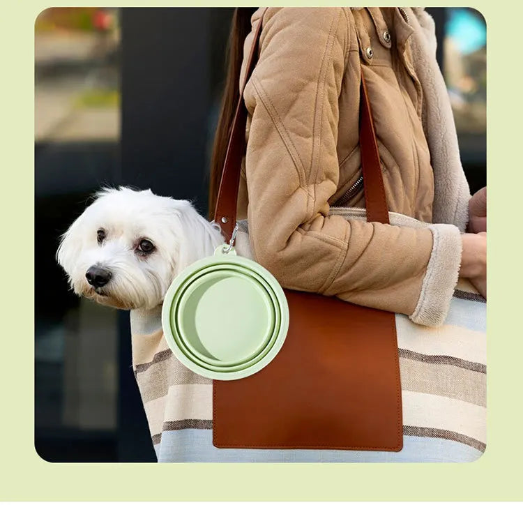 🐶🥣 Tazón Plegable Portátil para Mascotas 💧🐾