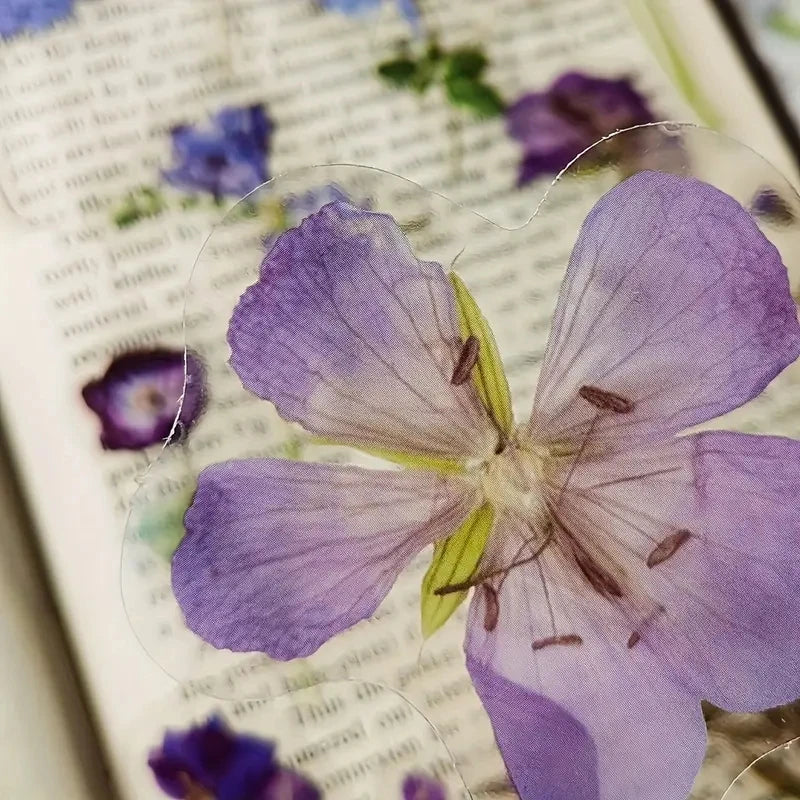 JIANQI 40Pcs Natural Plant Flower Stickers DIY Scrapbook PET Material Handbook Water Cup Transparent Plant Sticker